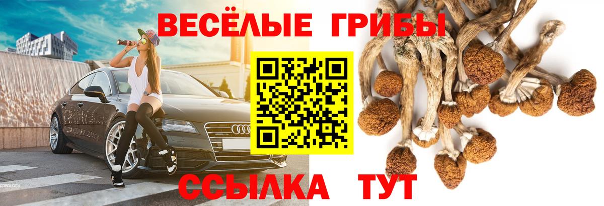 Псилоцибиновые грибы ЛСД  Вход с VPN  Орехово-Зуево 
